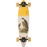 Globe Pintail Falcon 34