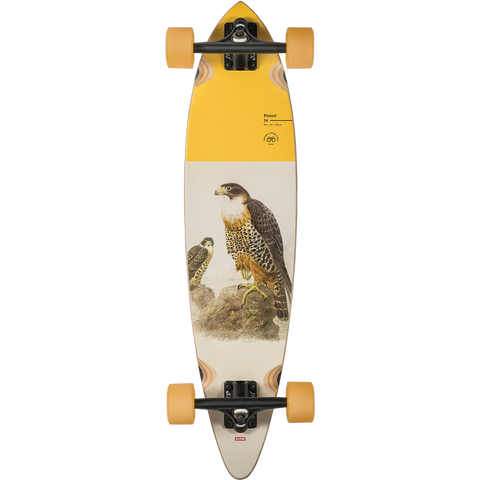 Globe Pintail Falcon 34