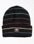 DICKIES KNIT SKATE BEANIE (WHR61)