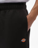 DICKIES MAPLETON FLEECE SWEATPANTS (WPE04)